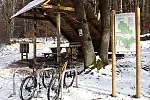 Migawki z zimowej wycieczki Szlakiem Rowerowym Pradoliny Łeby-Redy