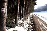 Migawki z zimowej wycieczki Szlakiem Rowerowym Pradoliny Łeby-Redy