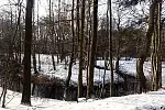 Migawki z zimowej wycieczki Szlakiem Rowerowym Pradoliny Łeby-Redy