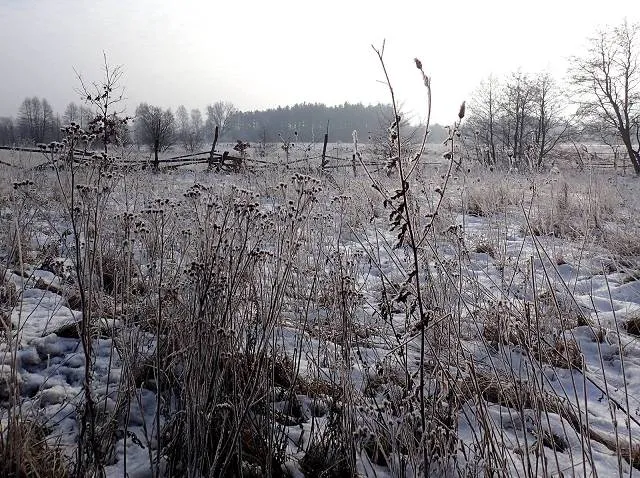 Migawki z zimowej wycieczki Szlakiem Rowerowym Pradoliny Łeby-Redy
