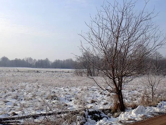 Migawki z zimowej wycieczki Szlakiem Rowerowym Pradoliny Łeby-Redy