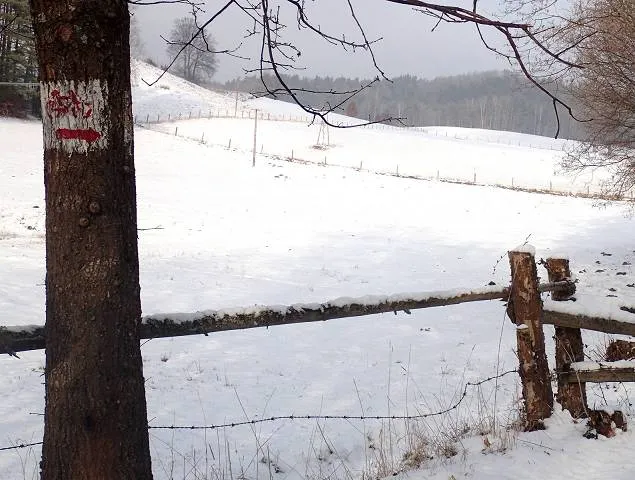 Migawki z zimowej wycieczki Szlakiem Rowerowym Pradoliny Łeby-Redy