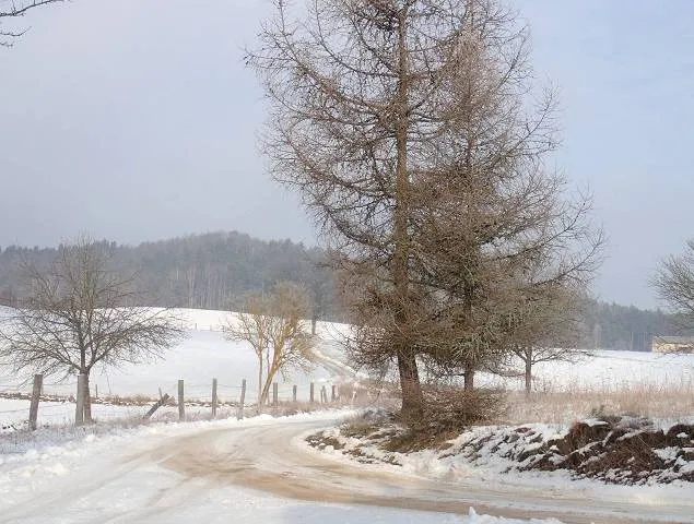 Migawki z zimowej wycieczki Szlakiem Rowerowym Pradoliny Łeby-Redy