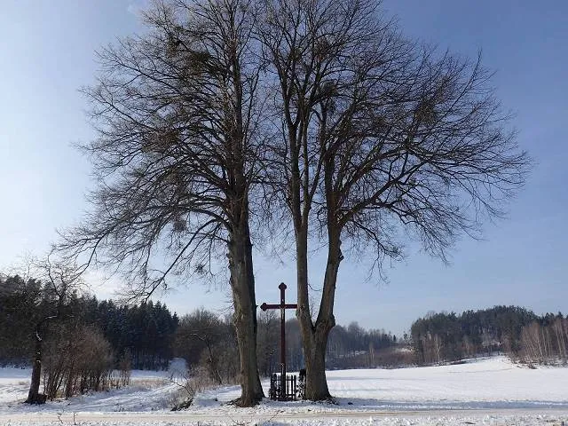 Migawki z zimowej wycieczki Szlakiem Rowerowym Pradoliny Łeby-Redy