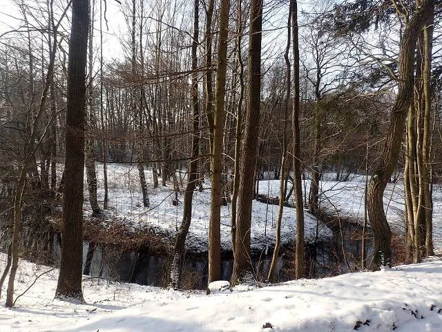Migawki z zimowej wycieczki Szlakiem Rowerowym Pradoliny Łeby-Redy