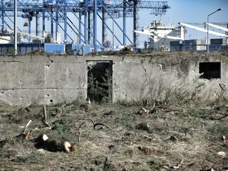 Fundamenty baraku wojskowego.
