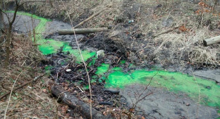Sprawę zielonej substancji w Potoku Oliwskim mają zbadać inspektorzy ochrony środowiska.