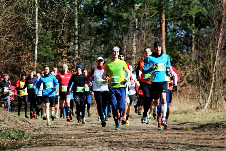 Ostatni bieg City Trail w sezonie 2014/2015 w Trójmieście ukończyło 318 uczestników.