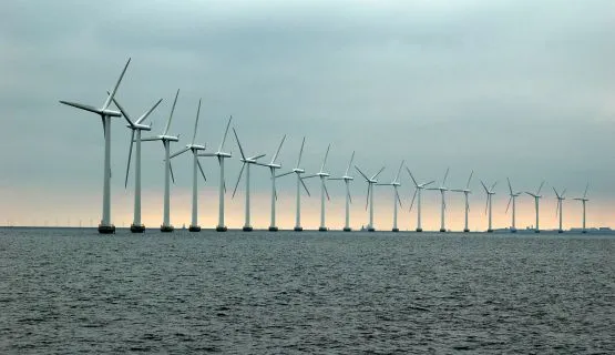 Na terenie kraju znajduje się 25 profesjonalnych farm wiatrowych o mocy powyżej 5 MW.