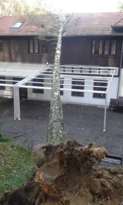 Upadek drzewa spowodował straty w wysokości kilkudziesięciu tys. zł.