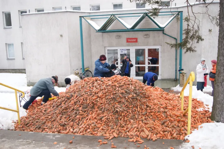 O firmie A-N zrobiło się głośno zimą 2013 roku, kiedy jej pracownicy wysypali marchew przed urzędem skarbowym w Wejherowie.