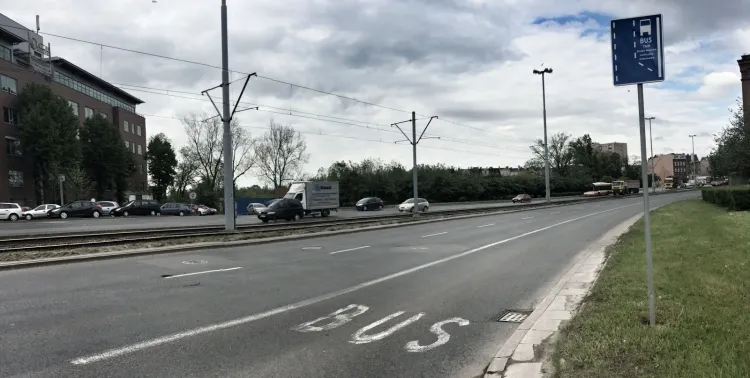 Buspas na ul. Podwalu Przedmiejskim - nitka w kierunku centrum Gdańska.
