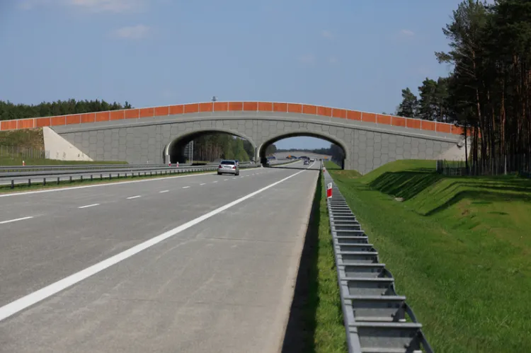 Droga wykonana w technologii betonowej.