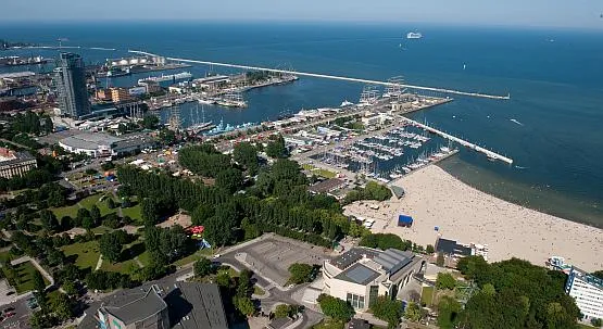 Mieszkańcy Gdyni chcą więcej zieleni w centrum miasta, ale trudno im znaleźć porozumienie z władzami miasta