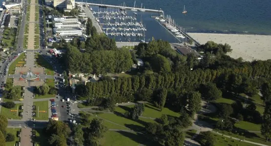 W środę rozpoczęła się wycinka 54 topoli z Parku Rady Europy w Gdyni.