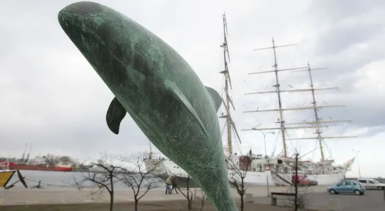 Morświny doczekały się własnego pomnika. W Gdyni na Skwerze Kościuszki od kilku lat stoi monument, poświęcony tym ssakom.