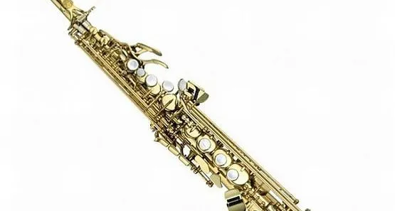 Saksofon, skonstruowany  w 1840 roku przez  Adolphe'a Saxa, szybko został wykorzystany w orkiestrach, a także jako instrument solowy. Tak było, zanim z początkiem XX stulecia został nieomalże zawłaszczony dla muzyki jazzowej.