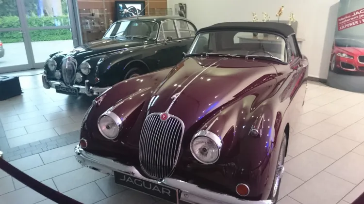 Legendarne Jaguary można było podziwiać podczas piątkowej prezentacji modelu XE. 