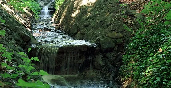 Ożywiony Potok Wiczliński ma szansę stać się podobną atrakcją, jak potoki płynące przez Trójmiejski Park Krajobrazowy. 