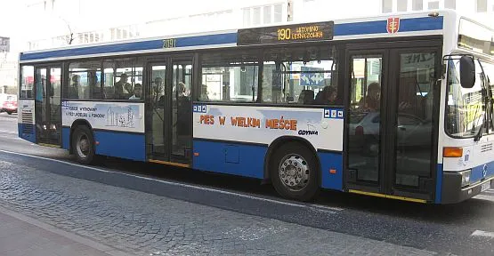 Po Gdyni jeżdżą już autobusy i trolejbusy, reklamujące akcję "Pies w wielkim mieście"