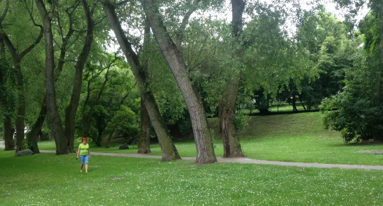 W ogólnodostępnym parku dziś panuje spokój i sielanka. I prawdopodobnie tak pozostanie, choć może to Gdynię sporo kosztować. 