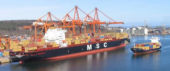 Istotą hubu kontenerowego jest to, że oceaniczne statki dowożą do niego kontenery np. z Dalekiego Wschodu, a mniejsze jednostki rozwożą je do okolicznych portów.