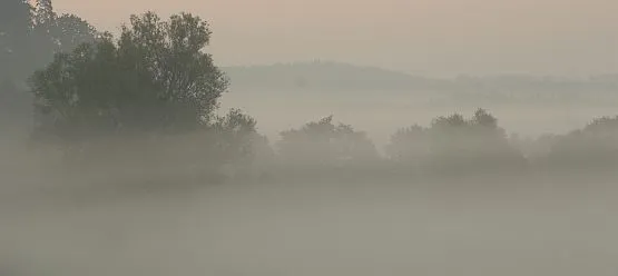 Wraz z jesienią przyszły mgły: zmora każdego kierowcy.