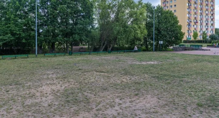Trawa w Parku Kilońskim na początku lipca nie była w najlepszym stanie, zwłaszcza w okolicach sceny.  
