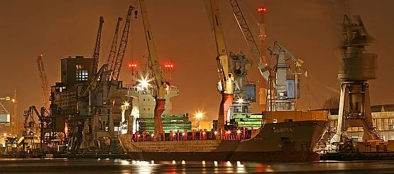 Zarząd Portu organizuje pracę całego organizmu portowego, ale pracę wykonują poszczególne, konkurujące ze sobą spółki.