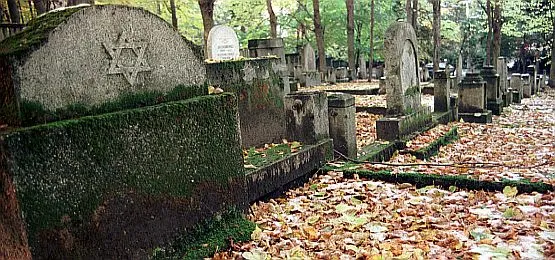 Stary cmentarz żydowski w Sopocie.