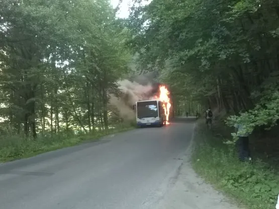 Poranny pożar autobusu miejskiego na wysokości ogrodu botanicznego w Marszewie.