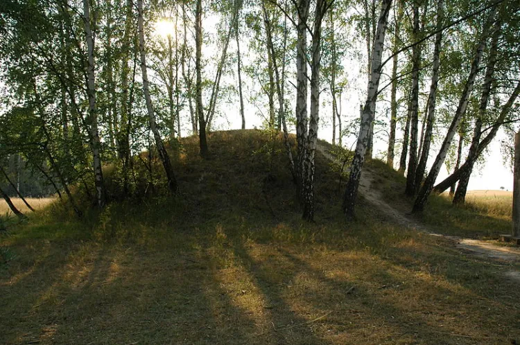 Kurhany - czyli starożytne lub wczesnośredniowieczne mogiły w kształcie kopca - odkrywane były w różnych częściach Polski. Na zdjęciu kurhan ze wsi Przywóz niedaleko Łodzi.