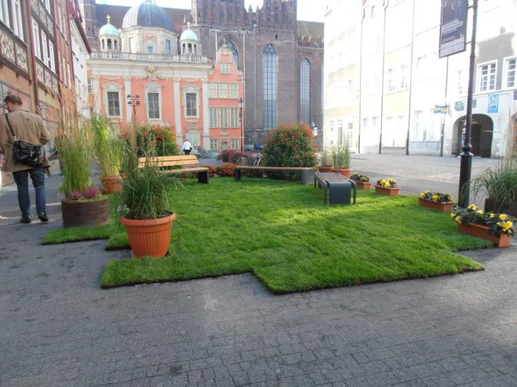 Władze Gdańska informowały o naborze na miejskiego ogrodnika, na specjalnie w tym celu zainstalowanym zieleńcu (tylko tymczasowym) przy fontannie Czterech Kwartałów.