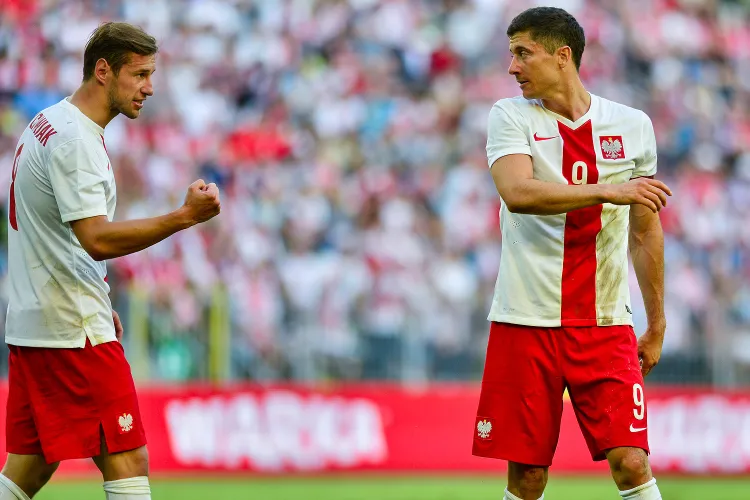 Robert Lewandowski i Grzegorz Krychowiak strzelali gole dla Polski w pierwszej połowie meczu z Irlandia, które były na wagę awansu do Euro 2016.