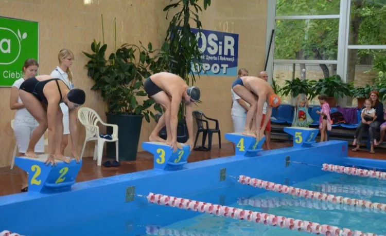 Na sopockiej pływalni rywalizowano w jedenastu indywidualnych kategoriach wiekowych, a także w rodzinnej sztafecie.