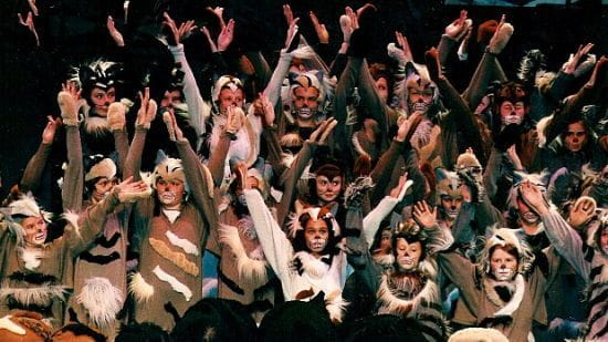 W Teatrze Muzycznym Junior, w ciągu 20 lat jego istnienia, pojawiło się kilka tysięcy młodych ludzi. Efektem edukacji artystycznej są przeważnie spektakle teatralne lub koncerty [na zdjęciu scena z przedstawienia "Koty i cała reszta, 1996].