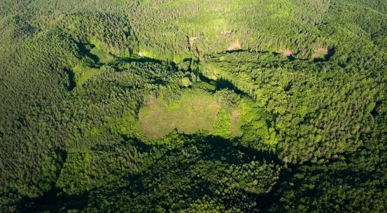 Trójmiejski Park Krajobrazowy rozciąga się na przestrzeni 20 tys. hektarów.
