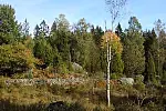 Karskrona Bike Maraton i jego krajobrazy