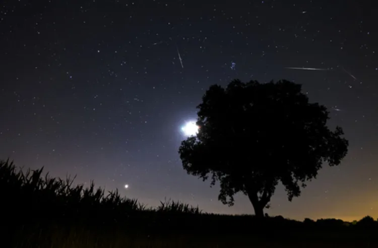 Nawet 120 meteorów w ciągu godziny będzie można zaobserwować nad trójmiejskim niebem.