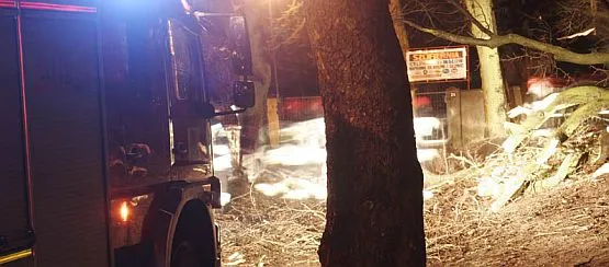Strażacy walczą z połamanym drzewem na ul. Jaśkowa Dolina w Gdańsku.