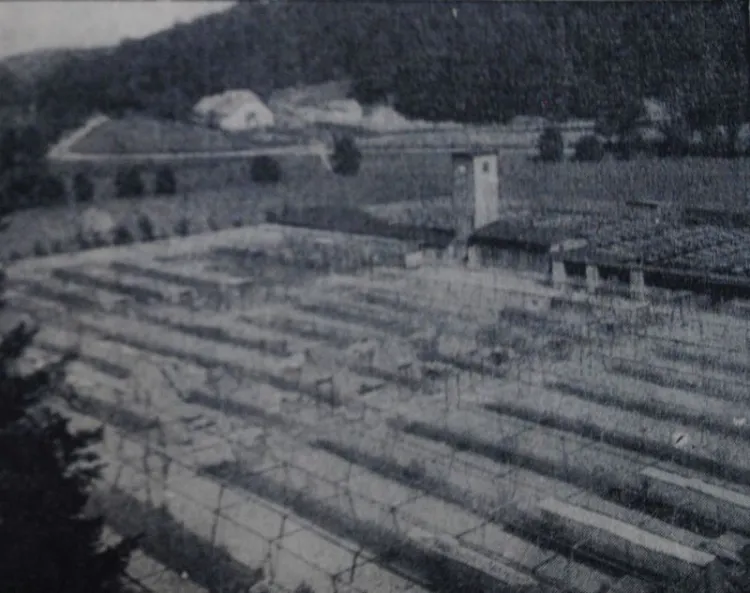 Ferma zwierząt futerkowych, założona w 1928 r. w sąsiedztwie zwierzyńca ("Danziger Neueste Nachrichten", 12-13.09.1931 r.)