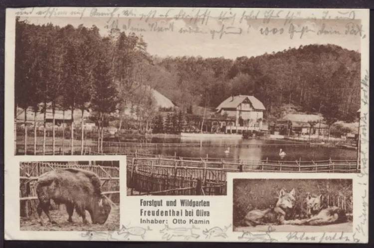 Pocztówka z 1932 r. prezentująca zwierzyniec w Dolinie Radości (ze zbiorów Krzysztofa Gryndera)