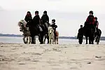 Ferie zimowe można spędzać także na plaży, co pokazują mali jeźdźcy ze stajni w Bernadowie.