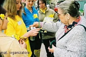 Wolontariuszy rozpoznamy po specjalnych koszulkach, identyfikatorach, żółtych kwiatach i puszkach, do których zbierane będą pieniądze...