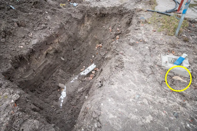 Kości rozrzucone są po całym terenie skarpy przy Węźle Groddecka. Fragment kości znajduje się nawet tuż przy wykopie. Nie sposób, by nie zauważyli go robotnicy.