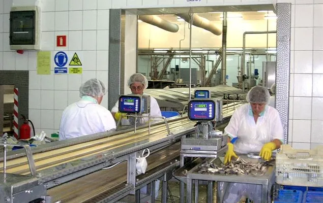 Wilbo podpisało z firmami Gadus i A&D umowy sprzedaży nieruchomości w Gdyni oraz wszystkich aktywów związanych z produkcją ryb mrożonych.