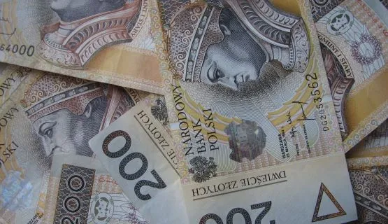 Tylko w pierwszym kwartale 2010 roku udaremniono wyłudzenia na kwotę ponad 100 milionów złotych