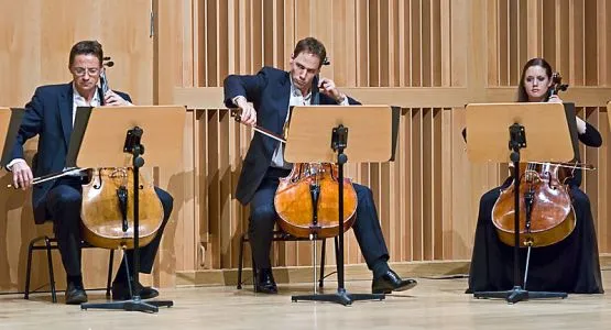Dwanaścioro wiolonczelistów oczarowało słuchaczy zgromadzonych w niedzielę w Filharmonii na Ołowiance.