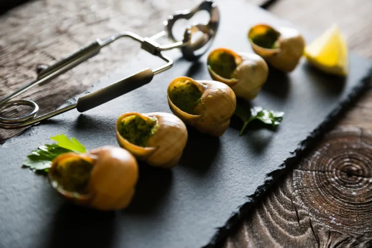 Escargot - ślimak przyrządzony wg receptur francuskich