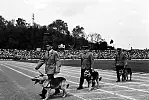 Psy milicyjne na stadionie Lechii Gdańsk, pokaz podczas wizyty bohaterów serialu "Czterej pancerni i pies", maj 1967 rok.